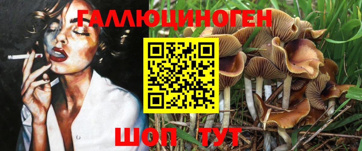 Саратов  Галлюциногенные грибы мухоморы  Псилоцибиновые грибы Cubensis  Вход с VPN 
